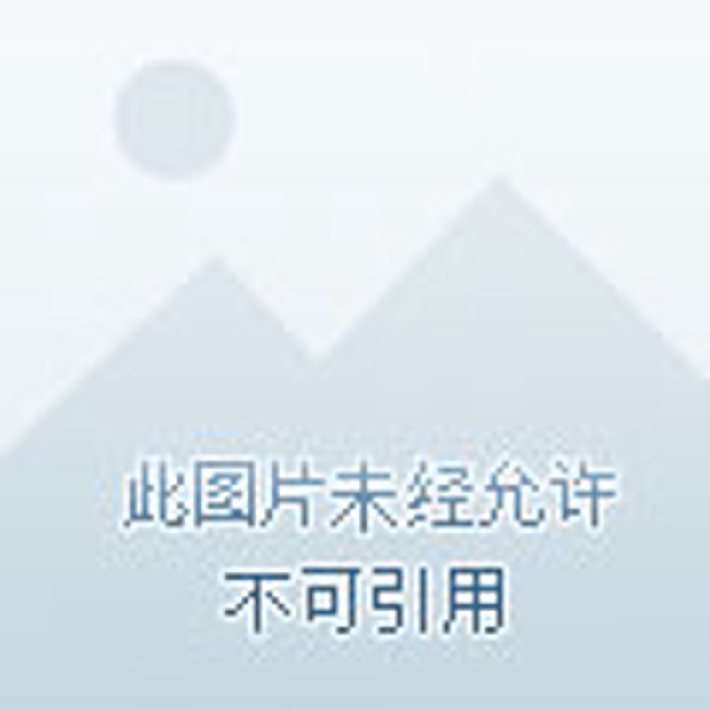 信息化建设方案引领未来企业创新发展